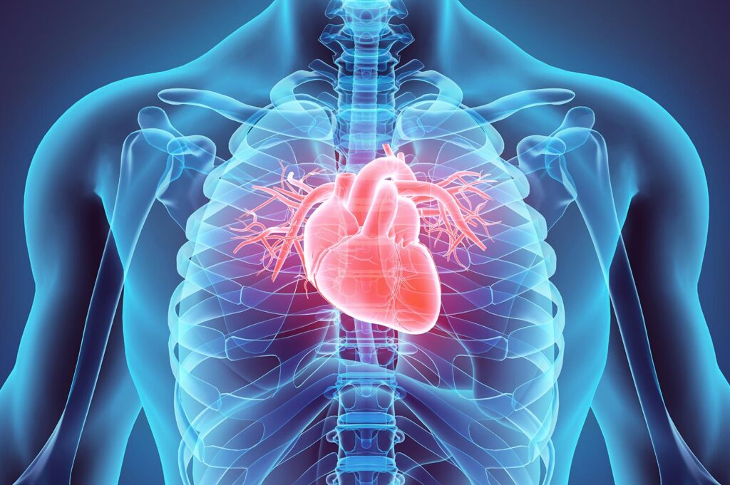 Bionic heart tissue: U-Michigan part of $20M center