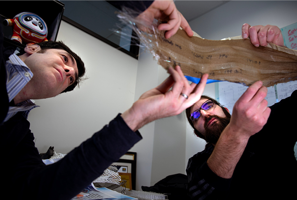 Photonic fibers borrow from butterfly wings to enable invisible, indelible sorting labels