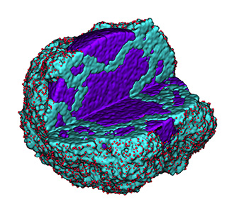 Regenerative medicine: Injectable stem cell incubator